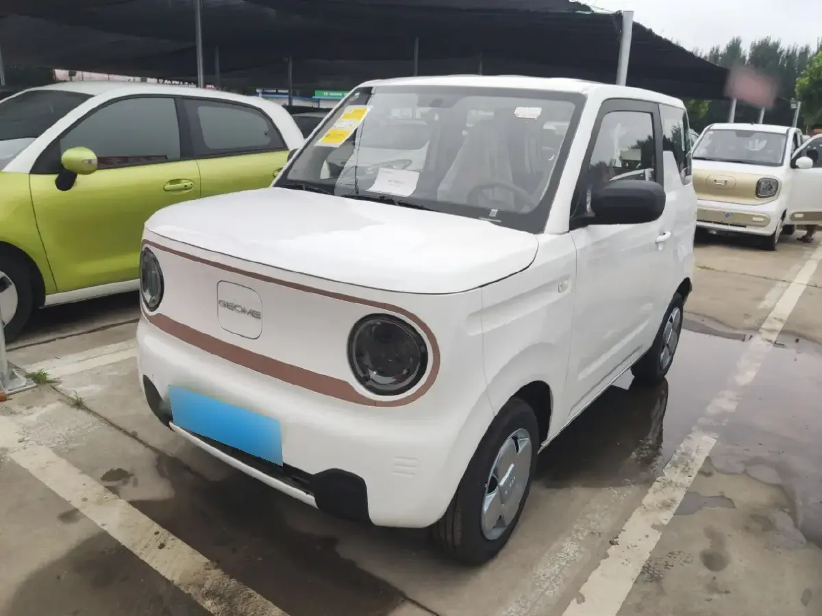 2024 Geely Galaxy Panda BEV 17.03KWH