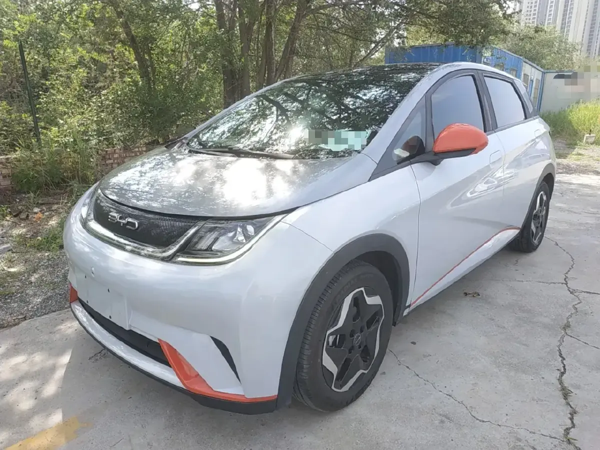 2021 BYD Dolphin BEV 44.9KWH