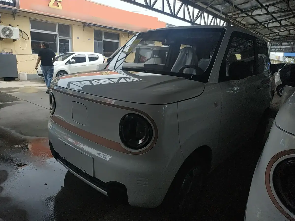 2024 Geely Galaxy Panda BEV 17.03KWH