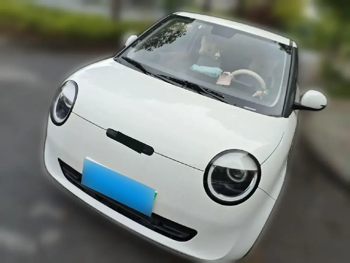 2022 ChangAn QiYuan Lumin BEV 17.65KWH