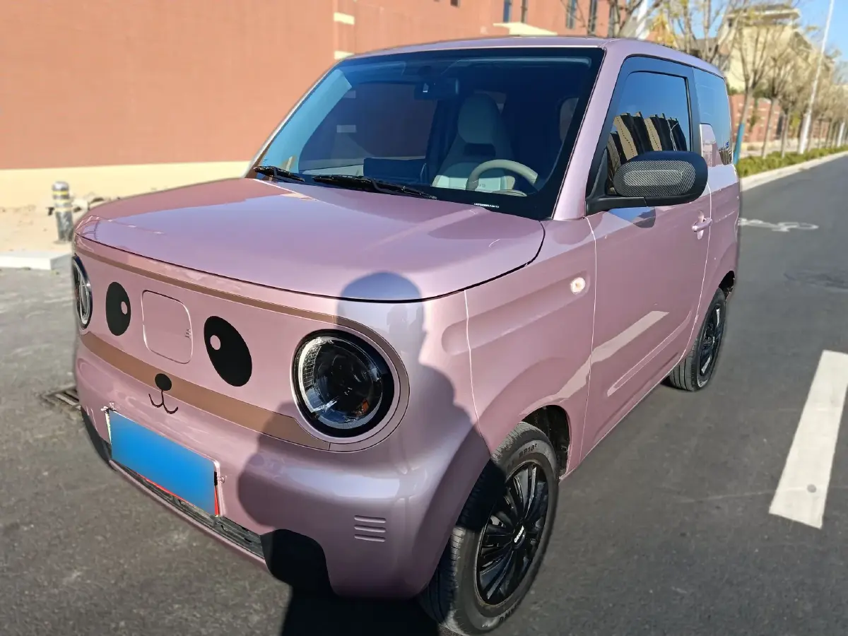 2023 Geely Galaxy Panda BEV 17.03KWH