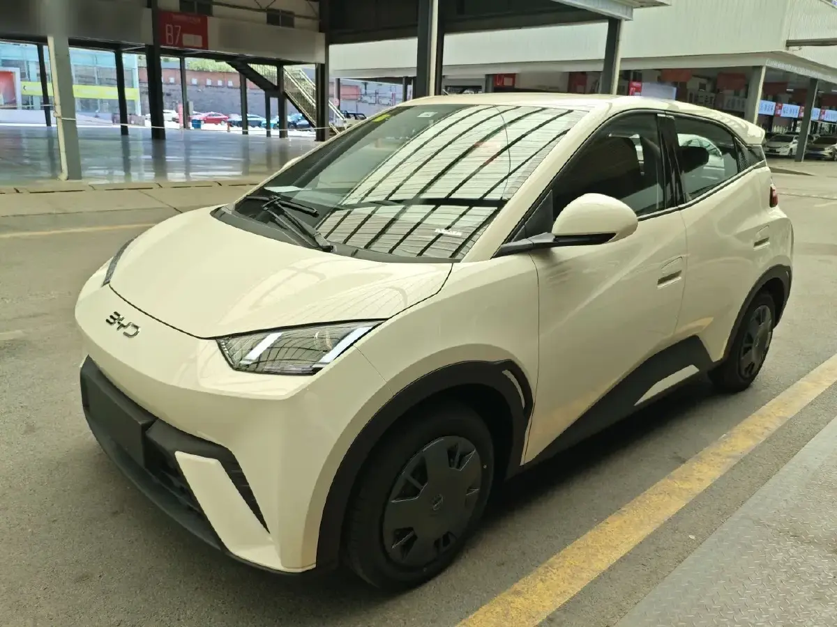 2025 BYD Seagull BEV 30.08KWH