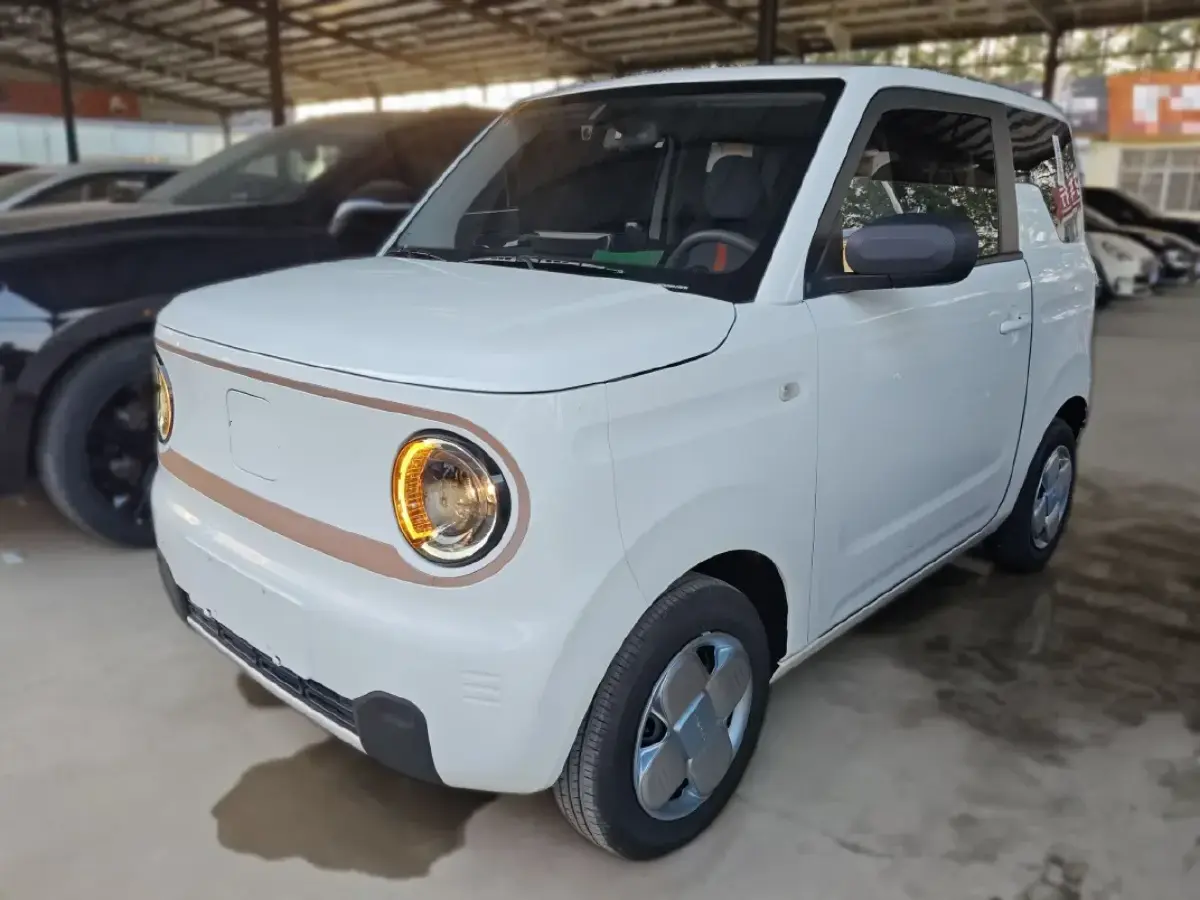 2023 Geely Galaxy Panda BEV 17.03KWH