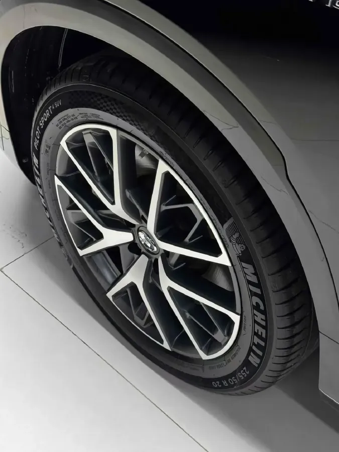 2024 GAC Trumpchi ES9 2.0T 190HP L4 2DHT PHEV 25.57KWH,autocango,china used car exporter,china ev exporter,chinese used car exporter,chinese used ev exporter