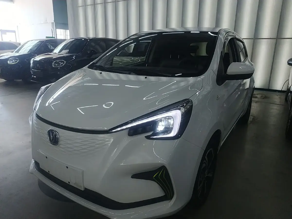 2022 ChangAn BenBen E-Star BEV 31.95KWH