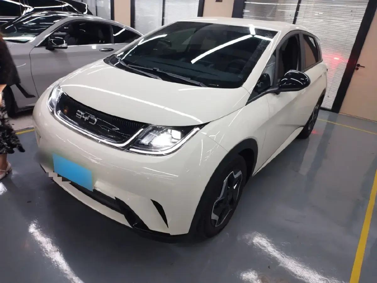 2025 BYD Dolphin BEV 44.928KWH