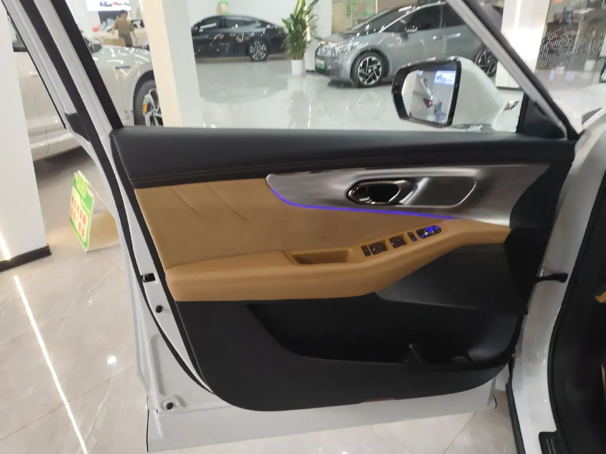 2024 GAC Trumpchi ES9 2.0T 190HP L4 2DHT PHEV 25.57KWH,autocango,china used car exporter,china ev exporter,chinese used car exporter,chinese used ev exporter