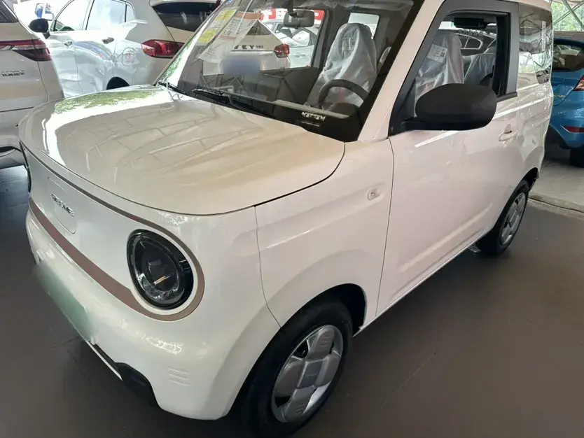 2024 Geely Galaxy Panda BEV 17.03KWH