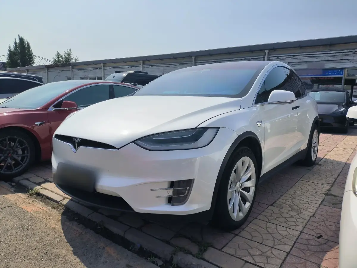 2019 Tesla Model X BEV 100KWH