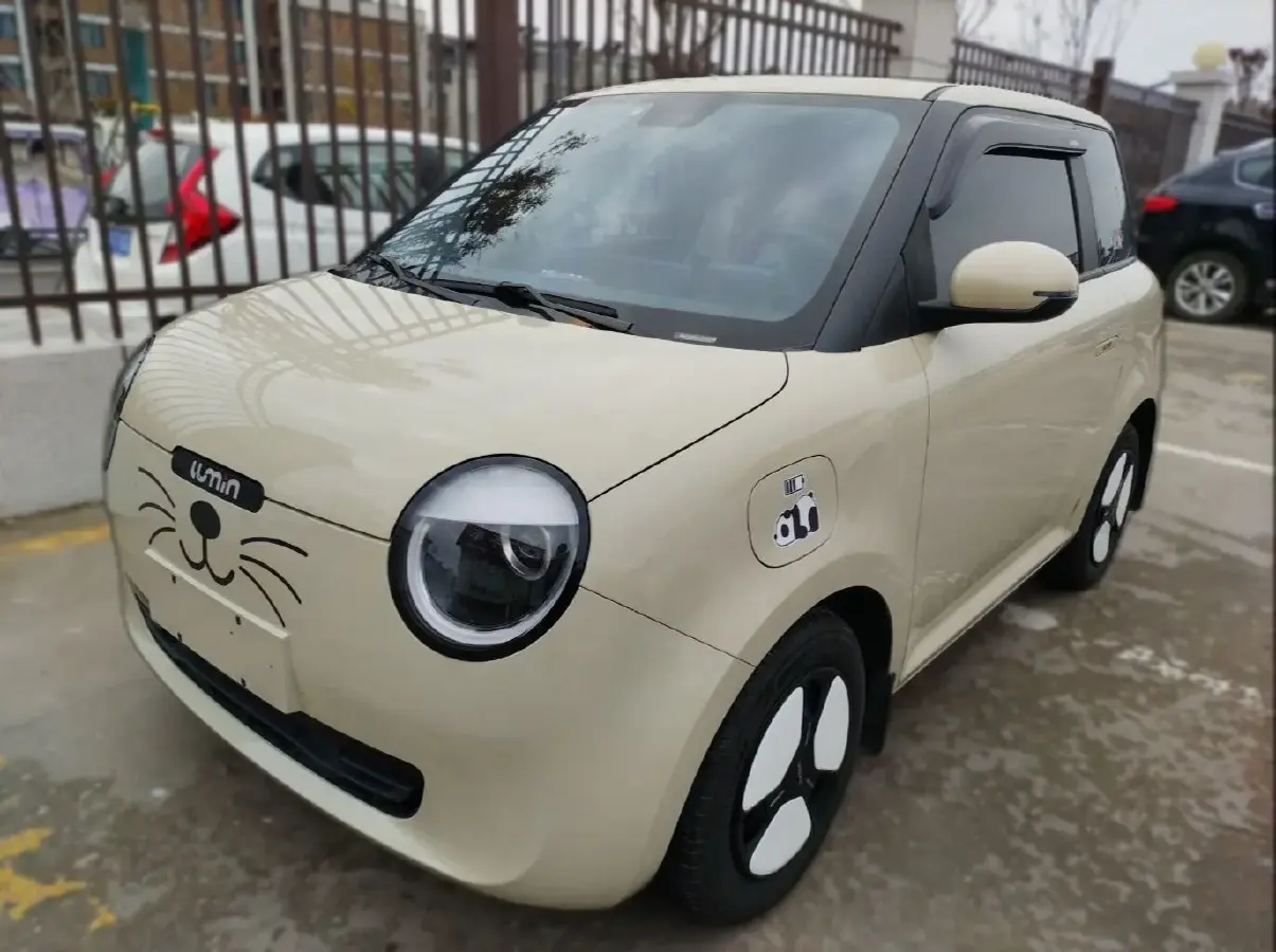 2022 ChangAn QiYuan Lumin BEV 17.65KWH