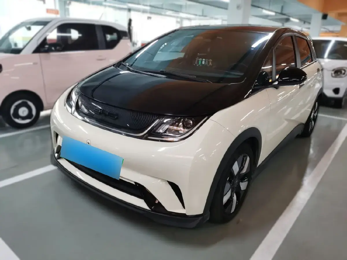2023 BYD Dolphin BEV 44.928KWH