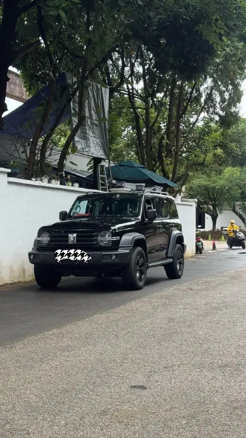 2024 Tank 300 2.0T 227HP L4 8AT