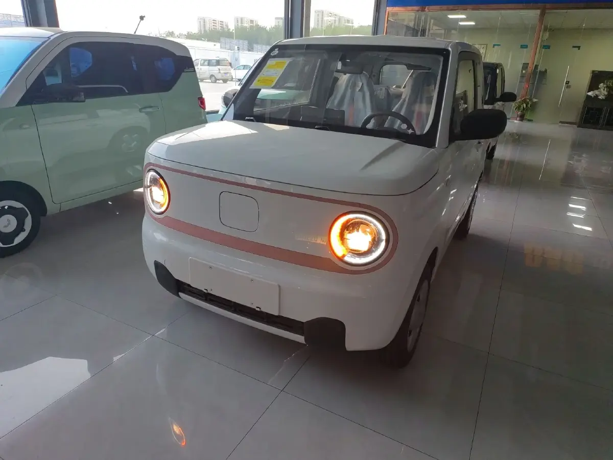 2024 Geely Galaxy Panda BEV 17.03KWH