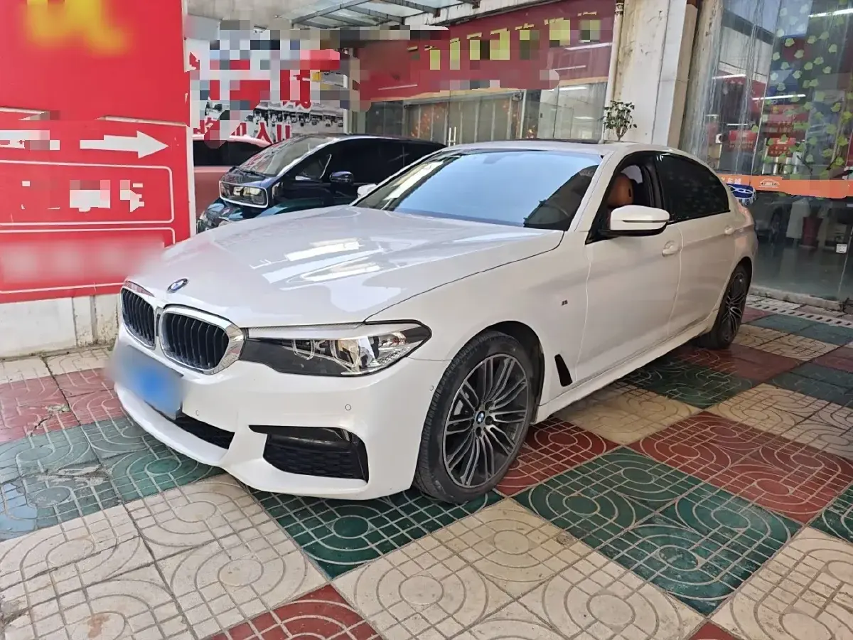 2019 BMW 5 Series 2.0T 252HP L4 8AT