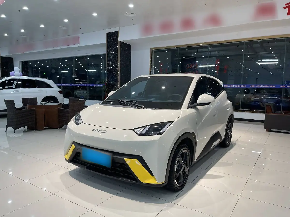 2024 BYD Seagull BEV 30.08KWH