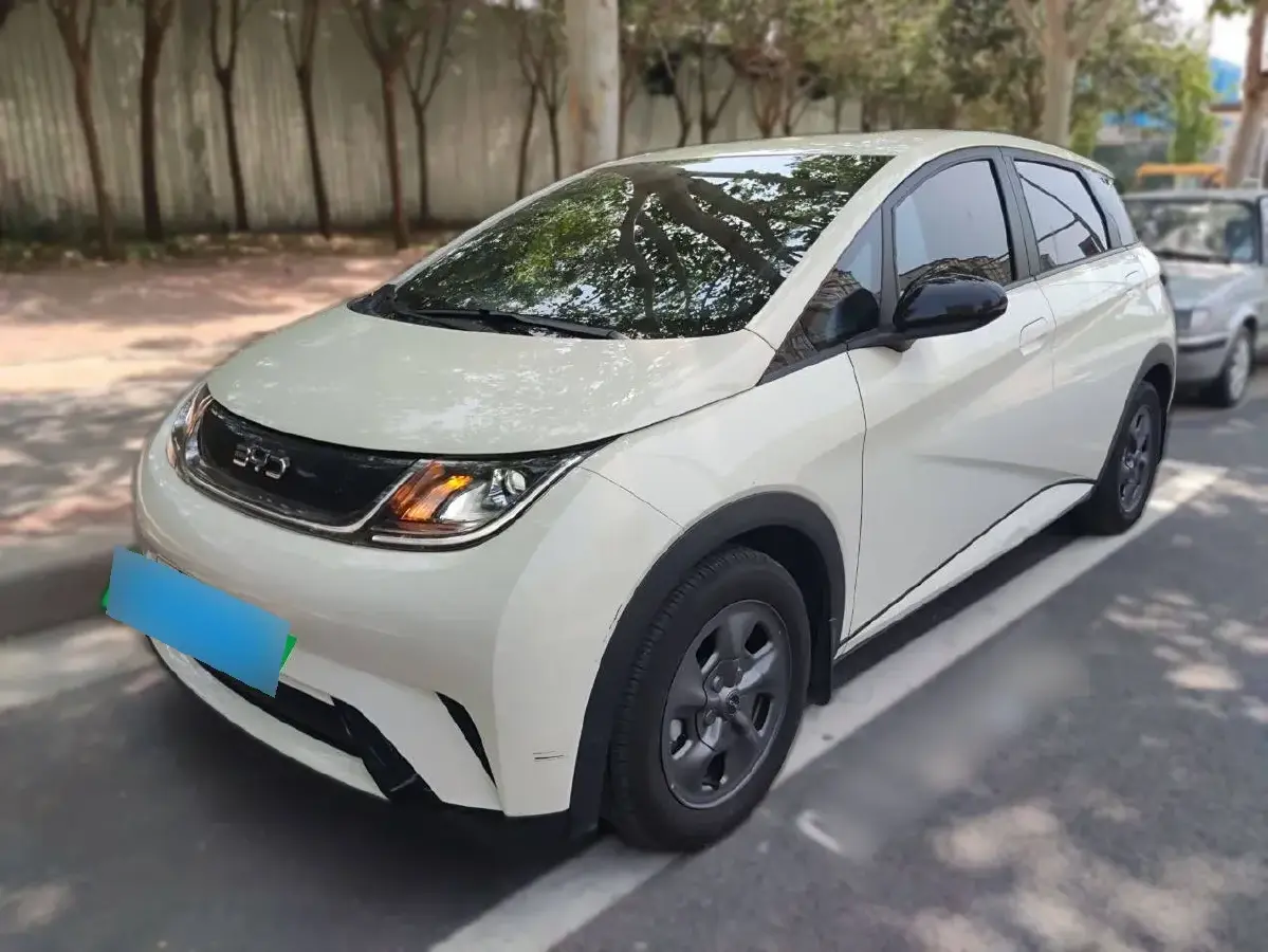 2024 BYD Dolphin BEV 32.256KWH