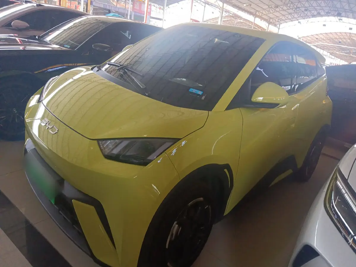 2024 BYD Seagull BEV 38.88KWH