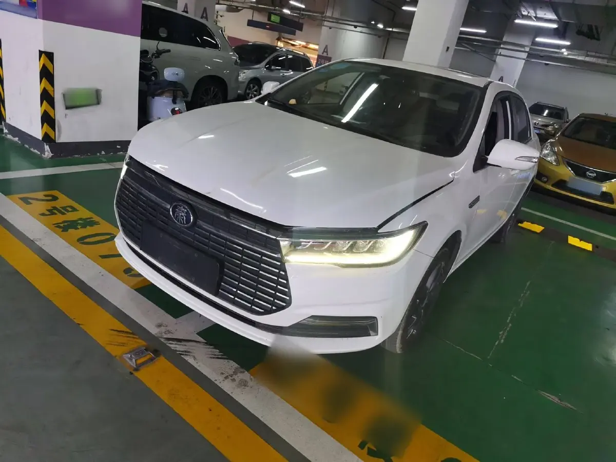 2019 BYD Qin BEV 53.1KWH