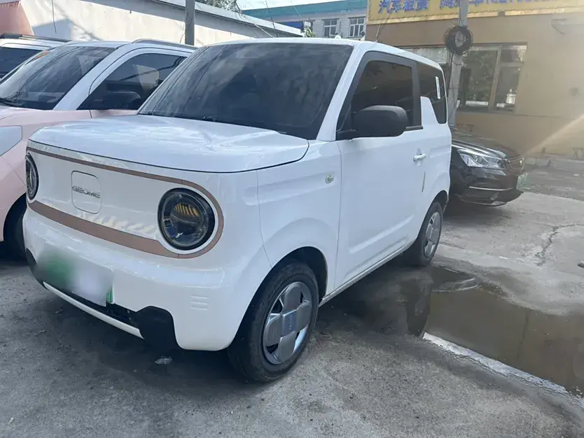 2023 Geely Galaxy Panda BEV 17.03KWH