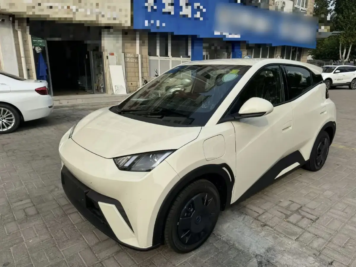 2025 BYD Seagull BEV 30.08KWH