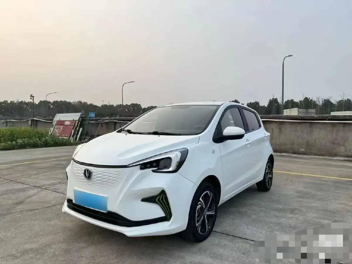 2020 ChangAn BenBen E-Star BEV 31.95KWH