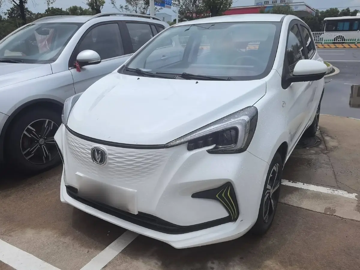 2020 ChangAn BenBen E-Star BEV 31.95KWH