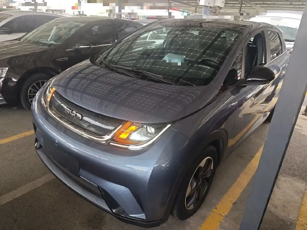 2024 BYD Dolphin BEV 44.928KWH
