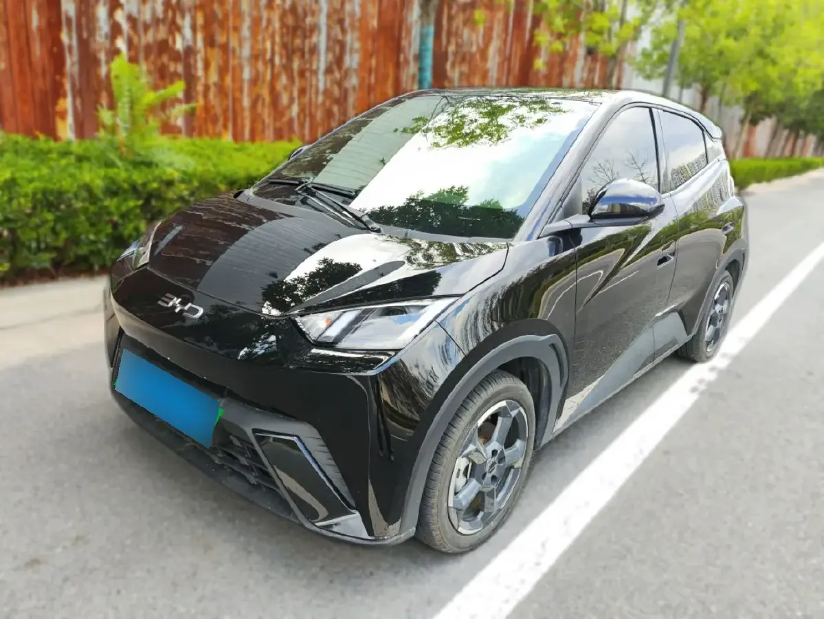 2024 BYD Seagull BEV 30.08KWH