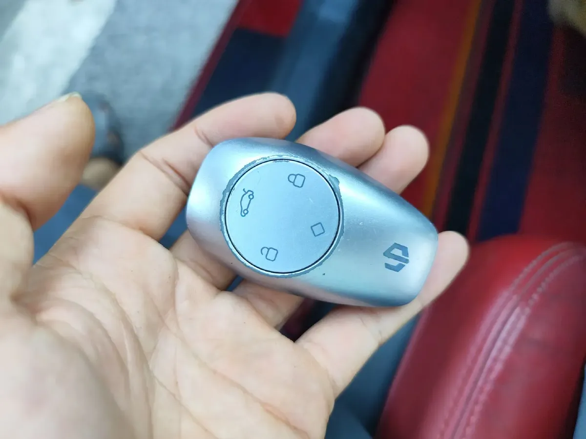 2019 Leapmotor S01 BEV 35.6KWH,autocango,china used car exporter,china ev exporter,chinese used car exporter,chinese used ev exporter