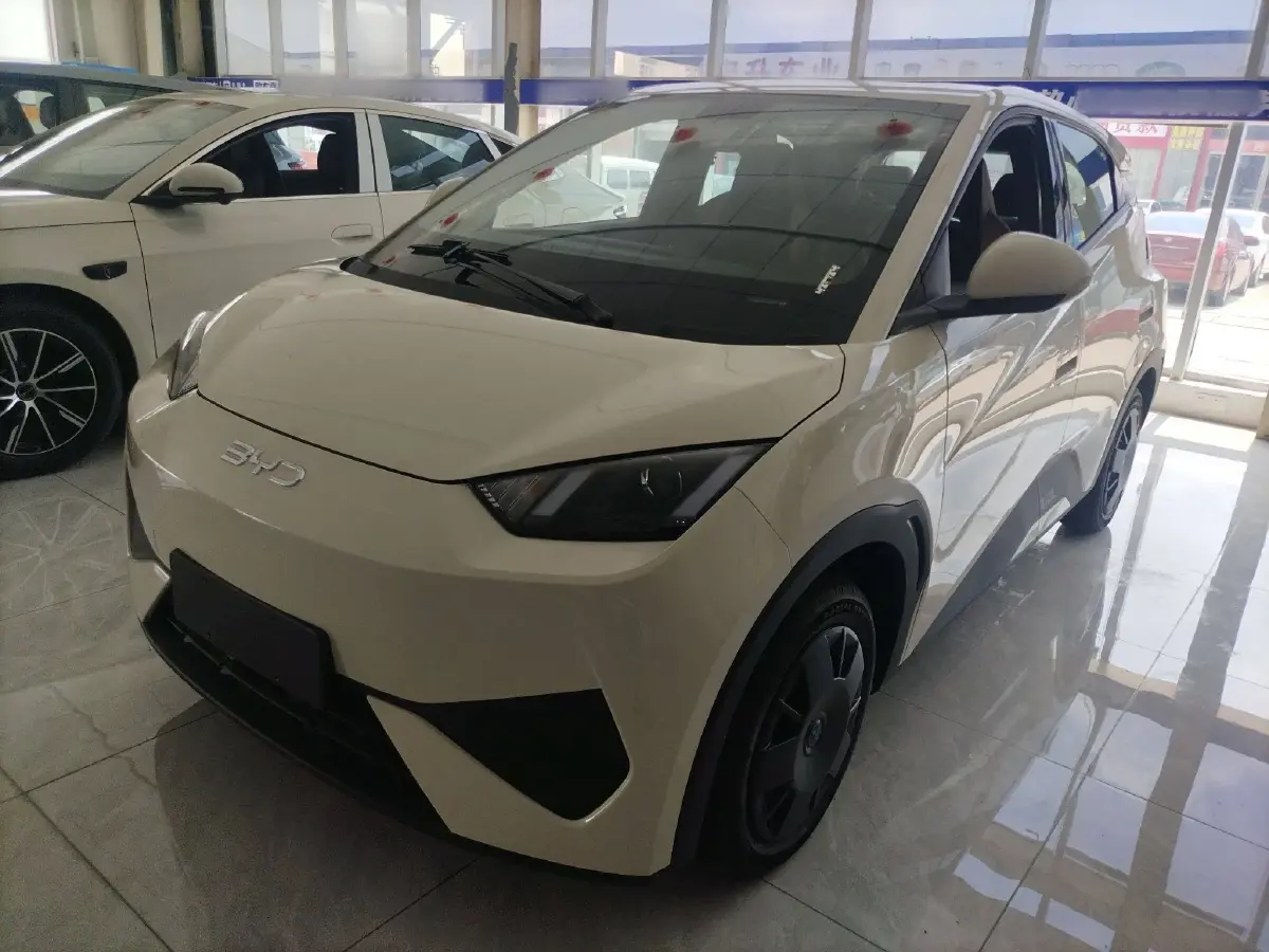 2025 BYD Seagull BEV 30.08KWH