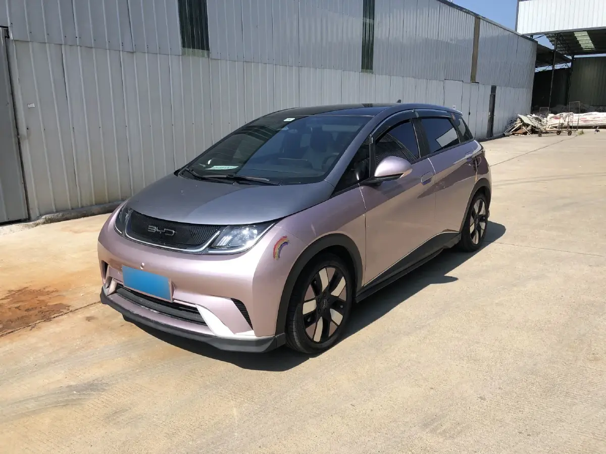 2021 BYD Dolphin BEV 44.9KWH