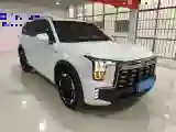 2024 GAC Trumpchi ES9 2.0T 190HP L4 2DHT PHEV 25.57KWH