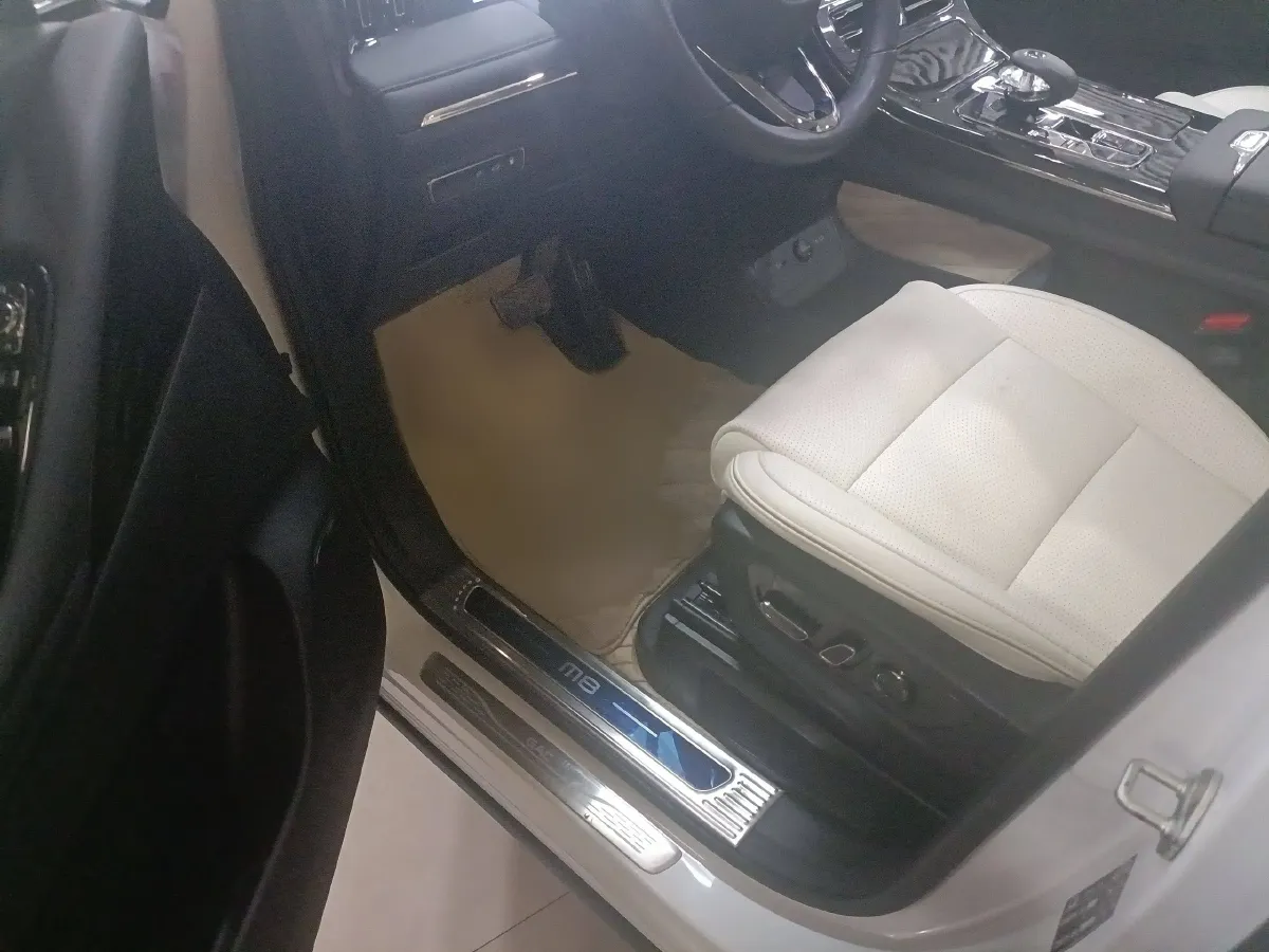 2023 GAC Trumpchi E9 2.0T 190HP L4 2DHT PHEV 25.57KWH,autocango,china used car exporter,china ev exporter,chinese used car exporter,chinese used ev exporter