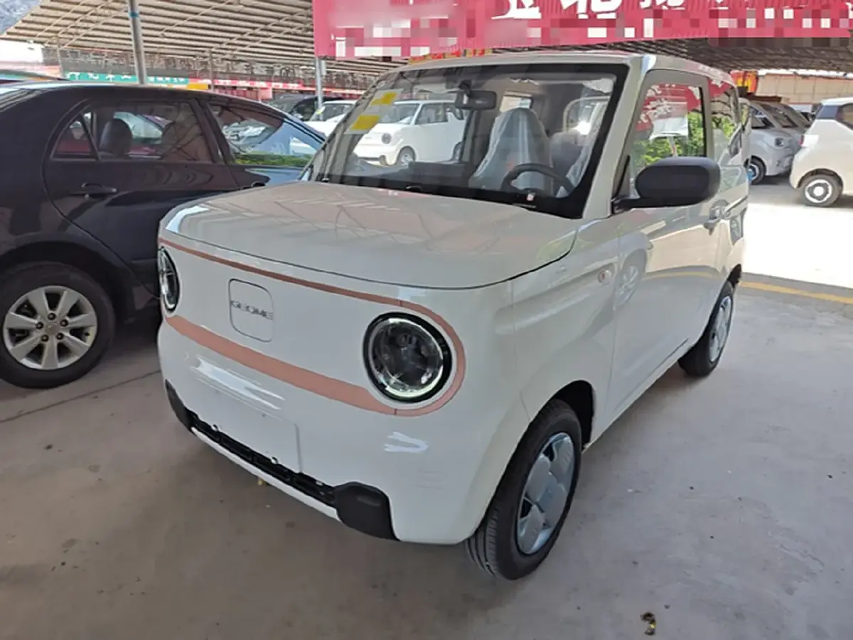 2024 Geely Galaxy Panda BEV 17.03KWH