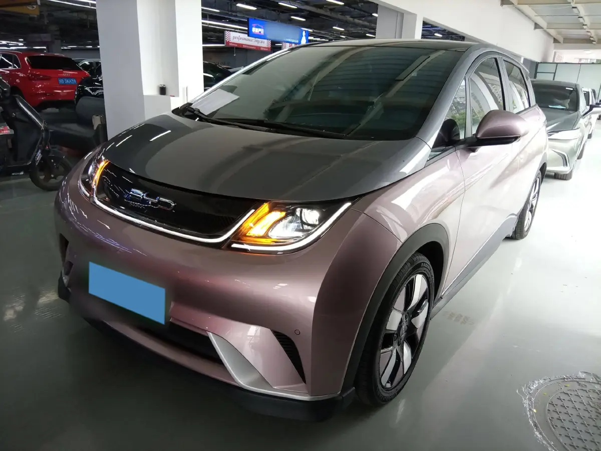 2021 BYD Dolphin BEV 44.9KWH