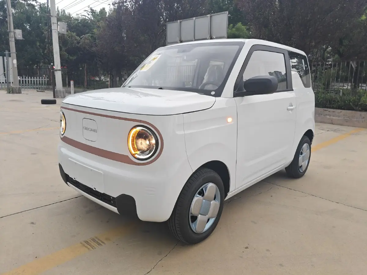 2024 Geely Galaxy Panda BEV 17.03KWH