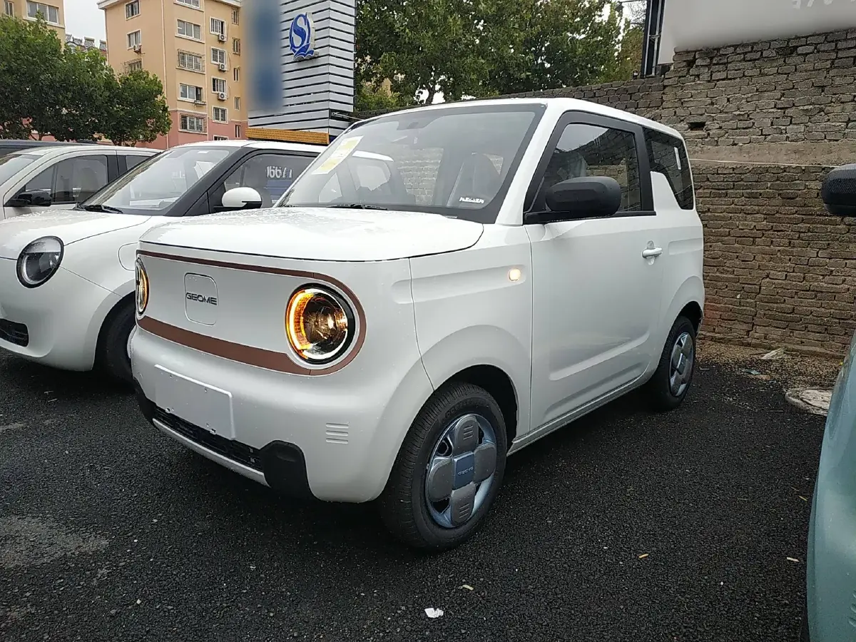 2024 Geely Galaxy Panda BEV 17.03KWH