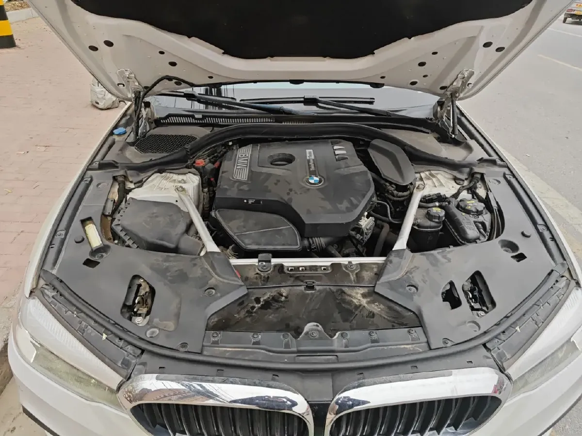 2019 BMW 5 Series 2.0T 252HP L4 8AT,autocango,china used car exporter,china ev exporter,chinese used car exporter,chinese used ev exporter