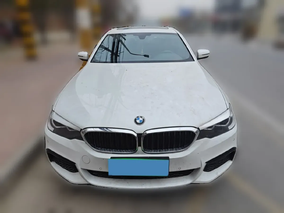 2019 BMW 5 Series 2.0T 252HP L4 8AT,autocango,china used car exporter,china ev exporter,chinese used car exporter,chinese used ev exporter