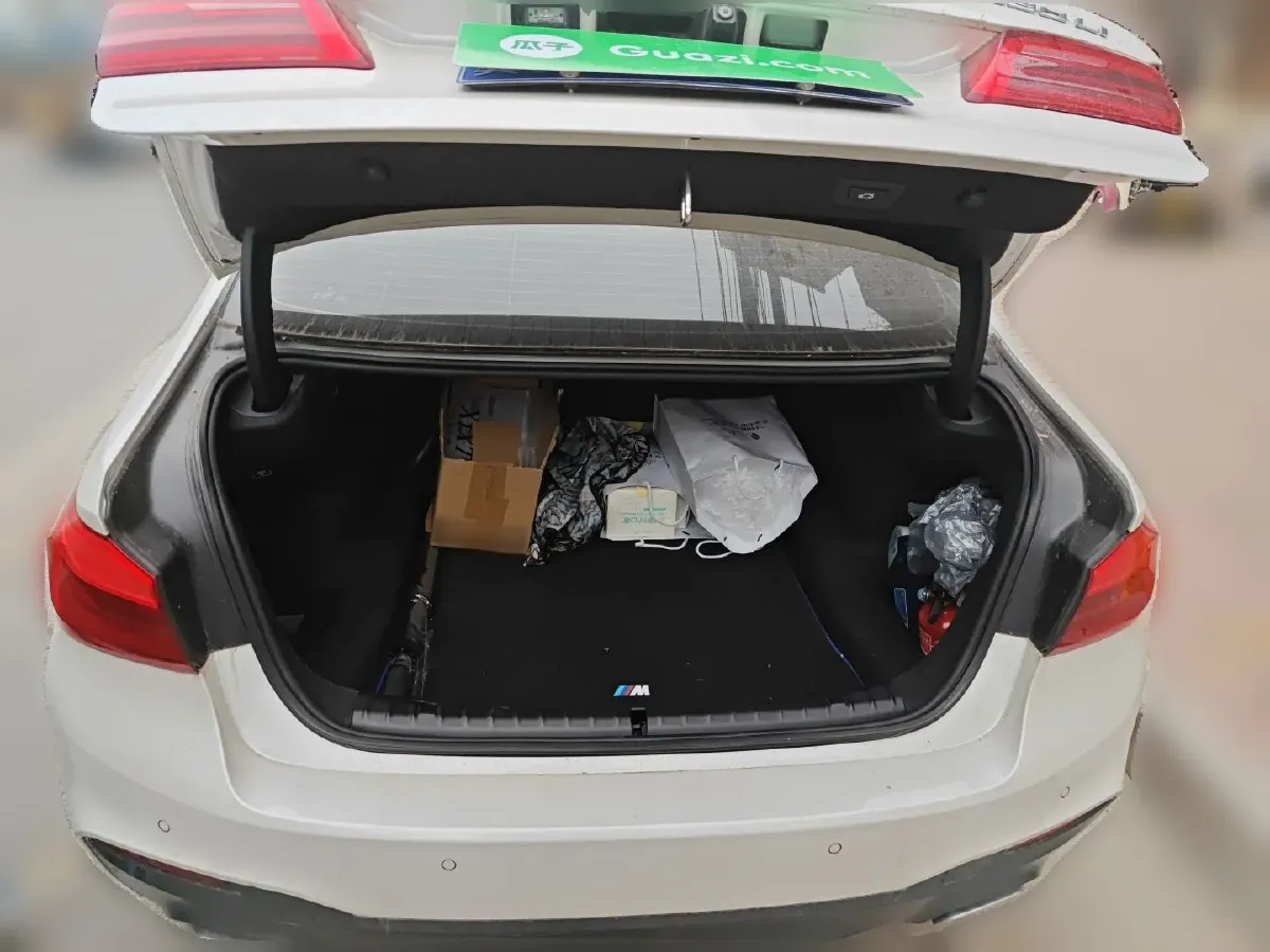 2019 BMW 5 Series 2.0T 252HP L4 8AT,autocango,china used car exporter,china ev exporter,chinese used car exporter,chinese used ev exporter