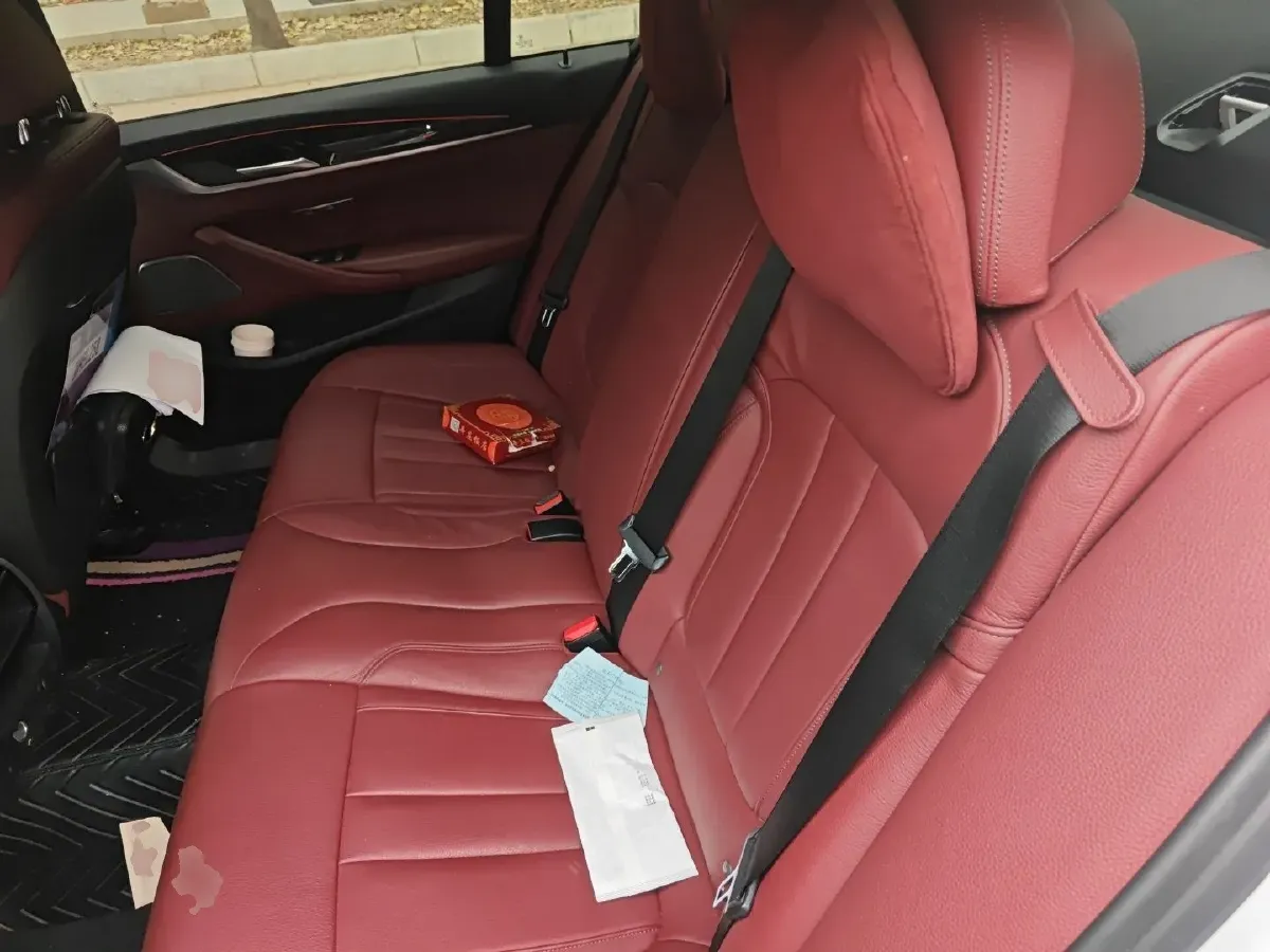 2019 BMW 5 Series 2.0T 252HP L4 8AT,autocango,china used car exporter,china ev exporter,chinese used car exporter,chinese used ev exporter