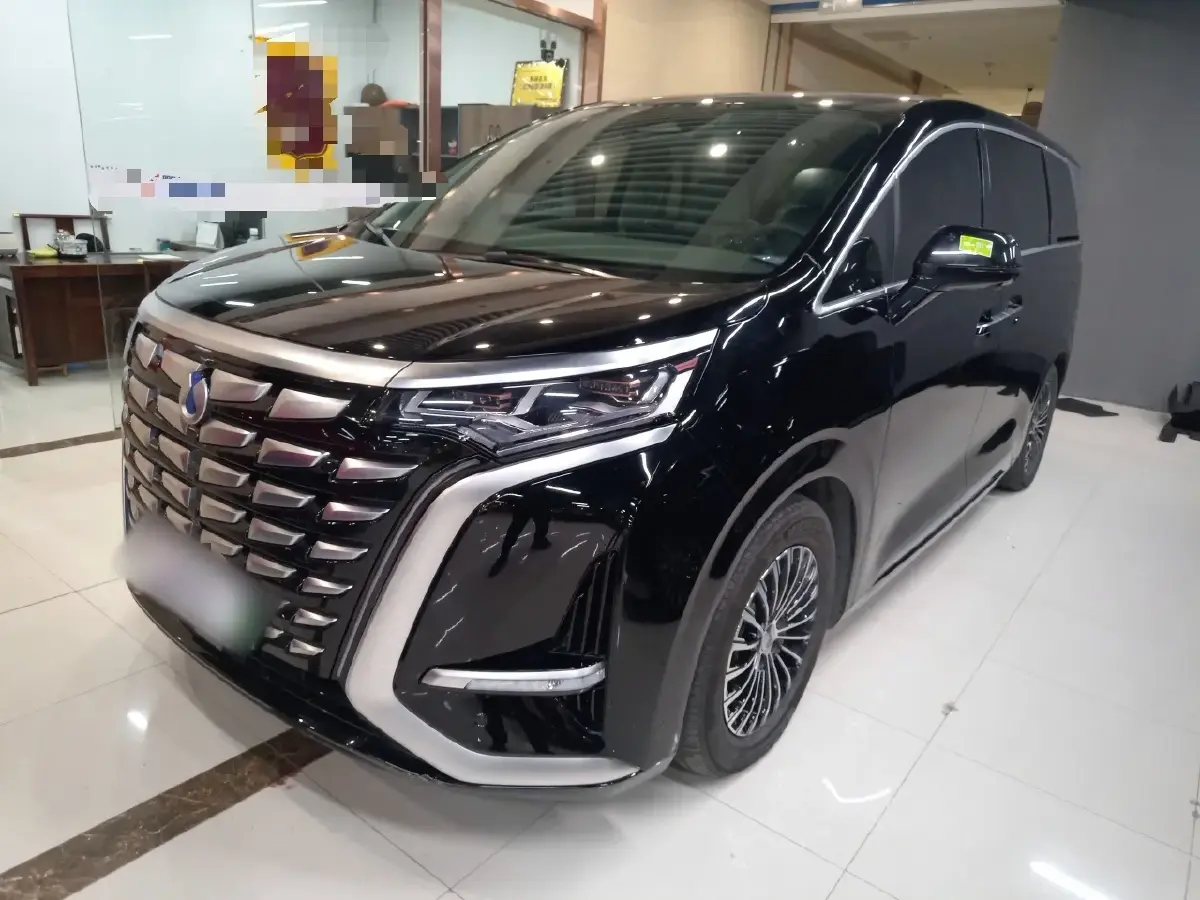 2022 Denza D9 1.5T 139HP L4 E-CVT PHEV 40.06KWH