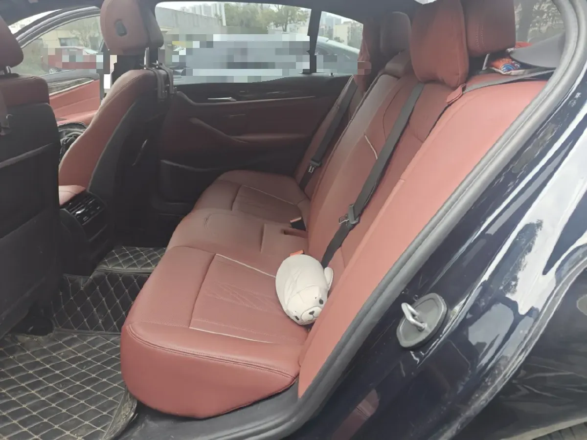 2021 BMW 5 Series 2.0T 184HP L4 8AT,autocango,china used car exporter,china ev exporter,chinese used car exporter,chinese used ev exporter