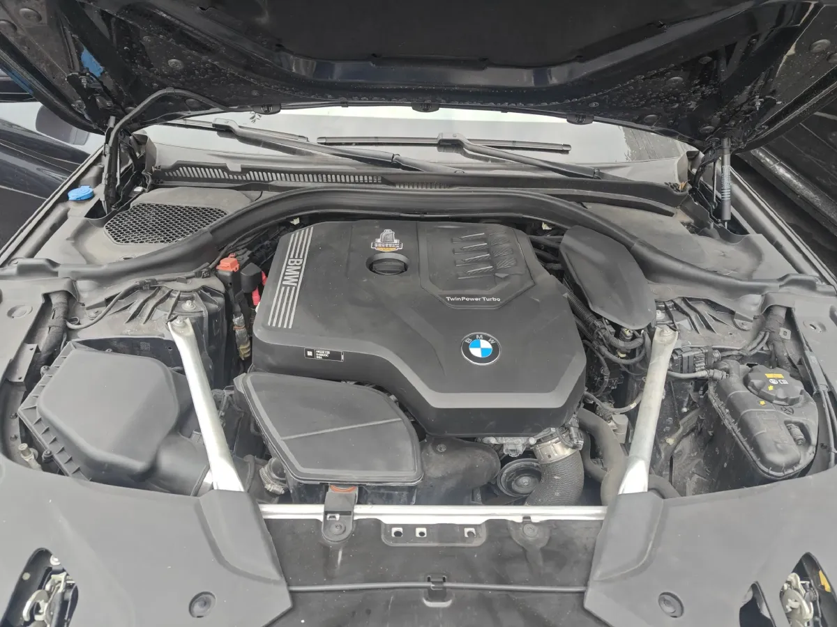 2021 BMW 5 Series 2.0T 184HP L4 8AT,autocango,china used car exporter,china ev exporter,chinese used car exporter,chinese used ev exporter