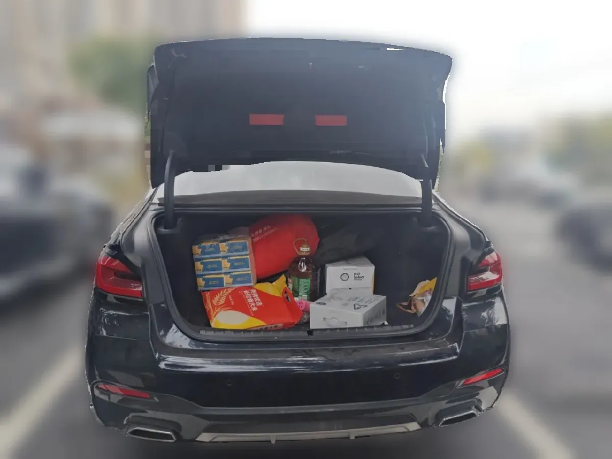 2021 BMW 5 Series 2.0T 184HP L4 8AT,autocango,china used car exporter,china ev exporter,chinese used car exporter,chinese used ev exporter