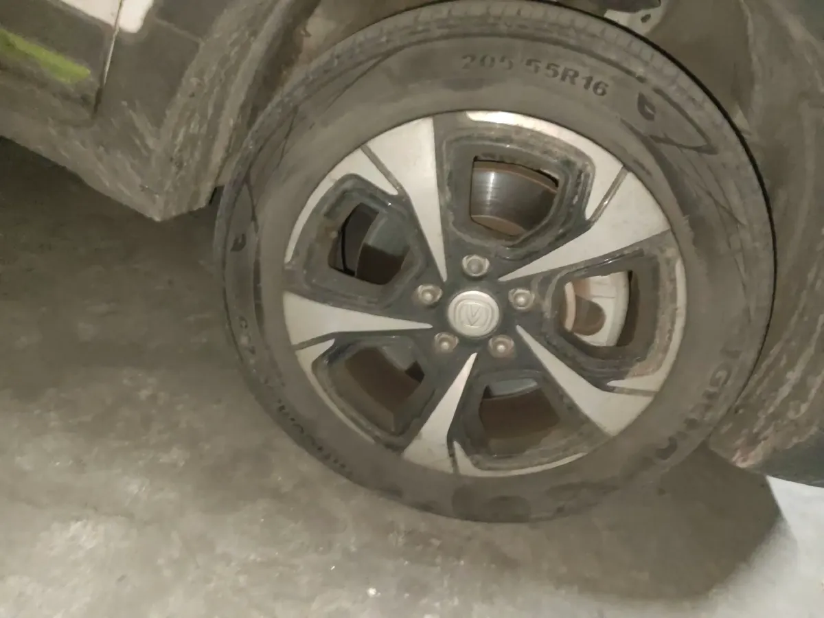 2020 ChangAn E-Pro BEV 48.3KWH,autocango,china used car exporter,china ev exporter,chinese used car exporter,chinese used ev exporter