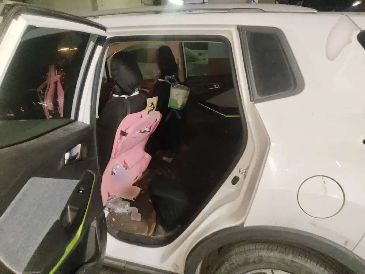 2020 ChangAn E-Pro BEV 48.3KWH,autocango,china used car exporter,china ev exporter,chinese used car exporter,chinese used ev exporter