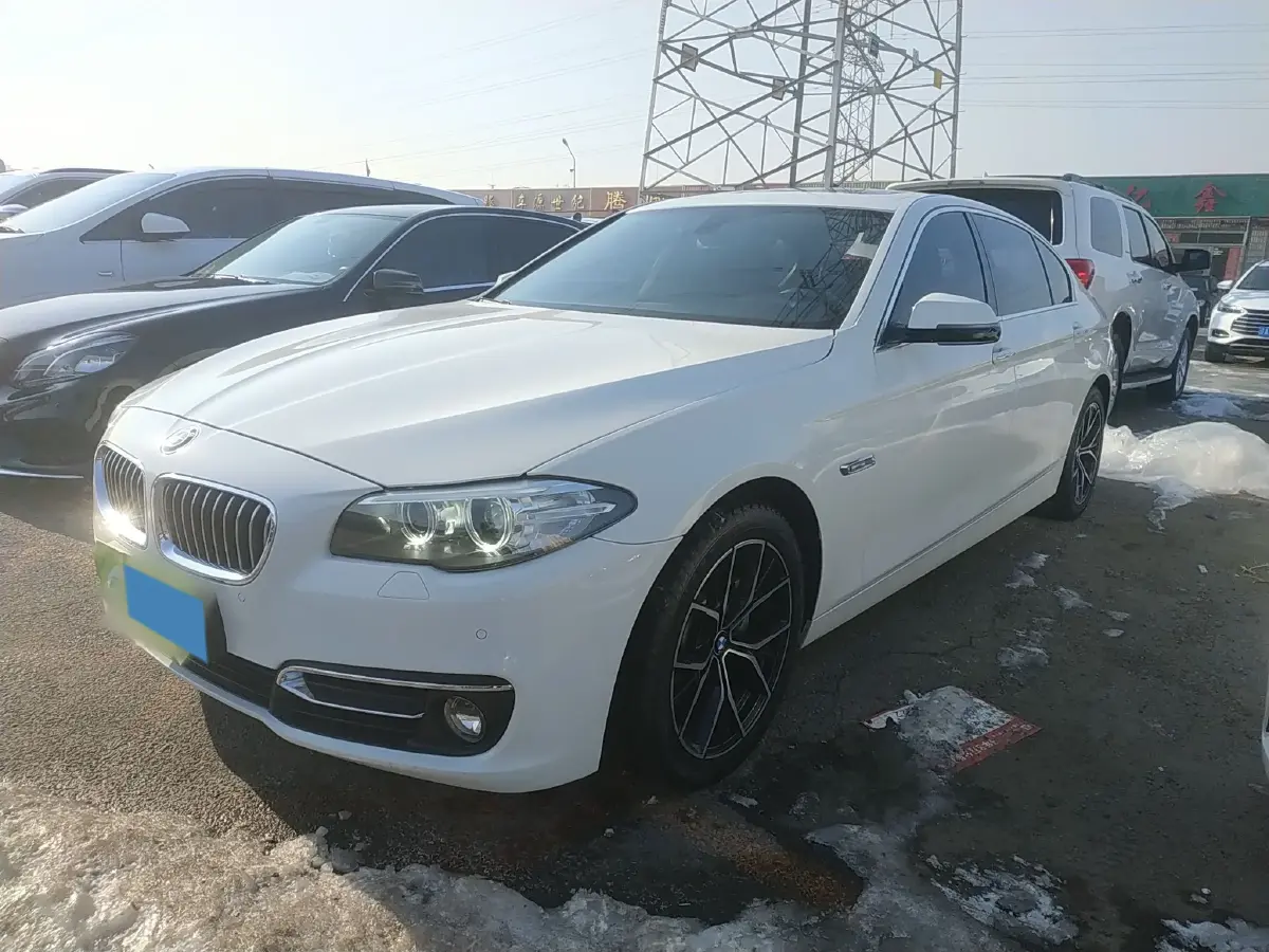 2017 BMW 5 Series 2.0T 218HP L4 8AT