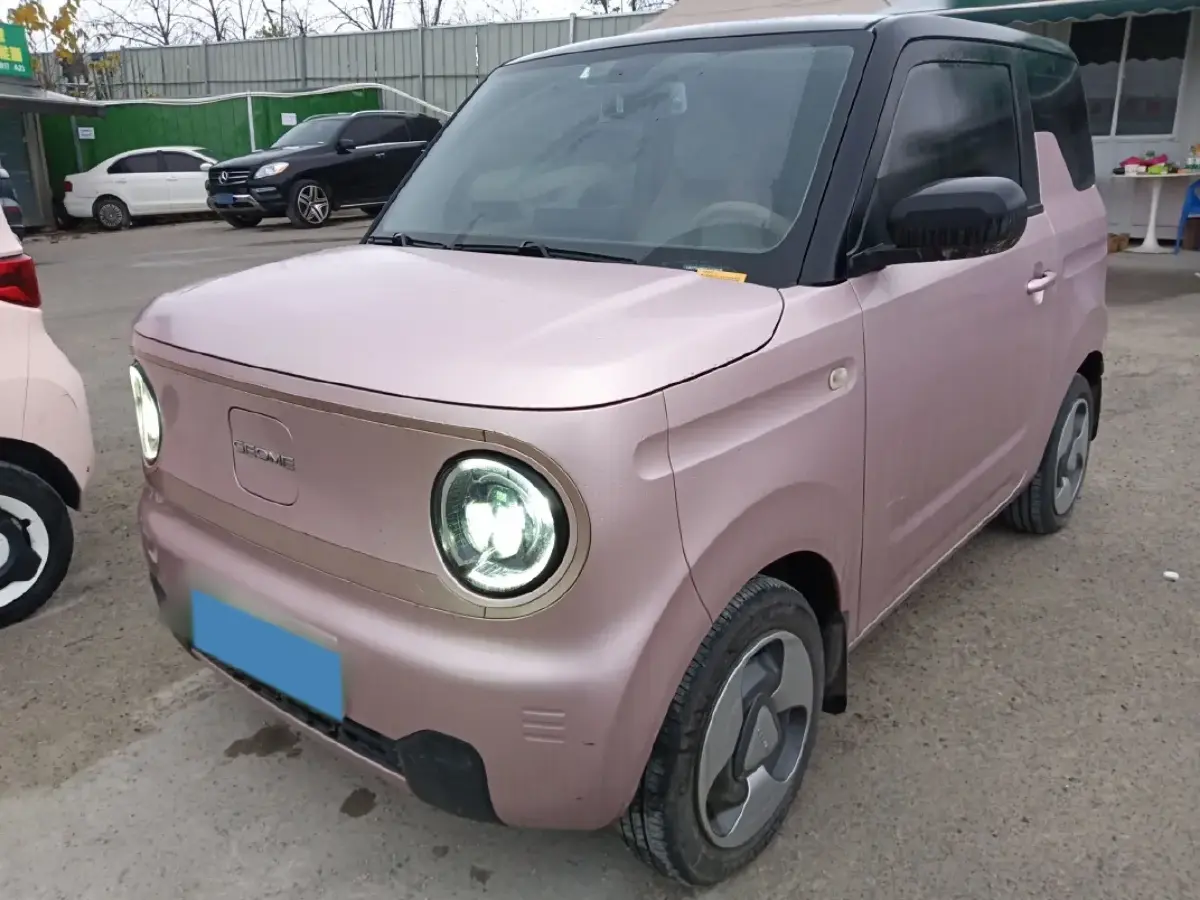 2023 Geely Galaxy Panda BEV 17.03KWH