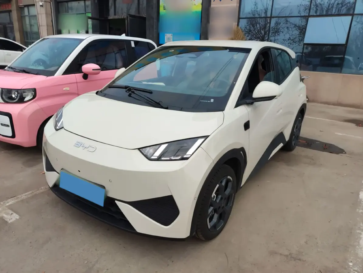 2025 BYD Seagull BEV 30.08KWH